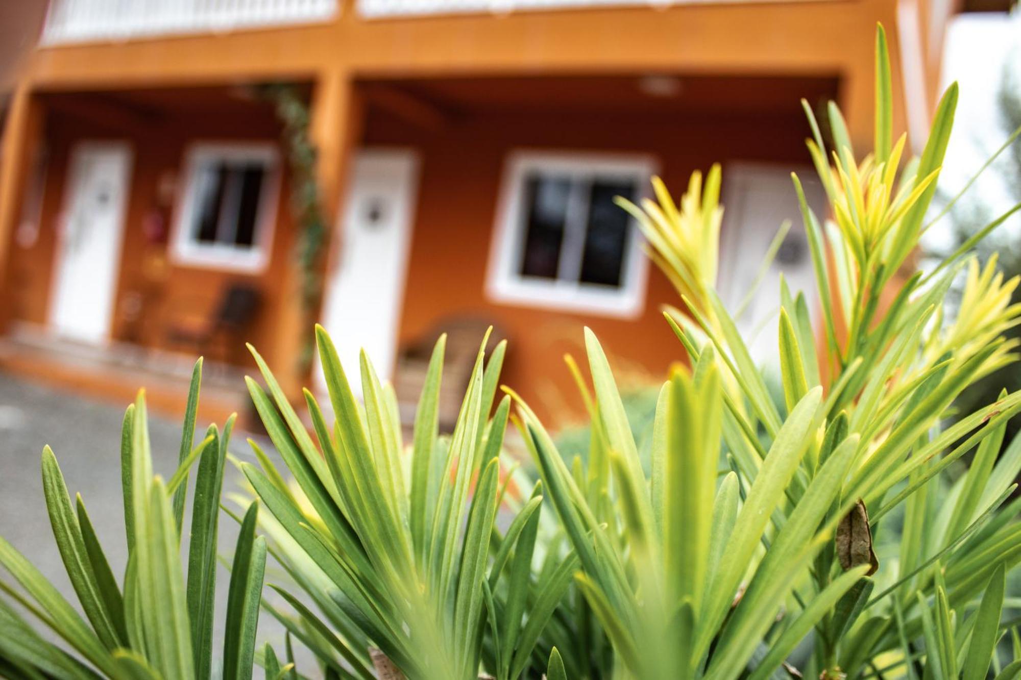 Apartamentos De Altitude Urubici Zewnętrze zdjęcie